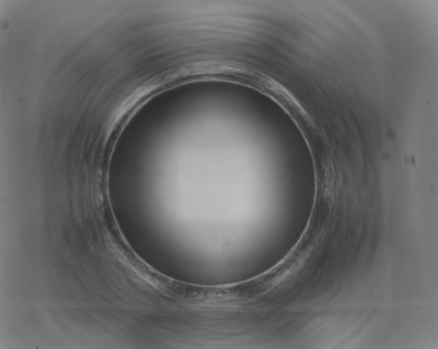 X0000077340786200611101548