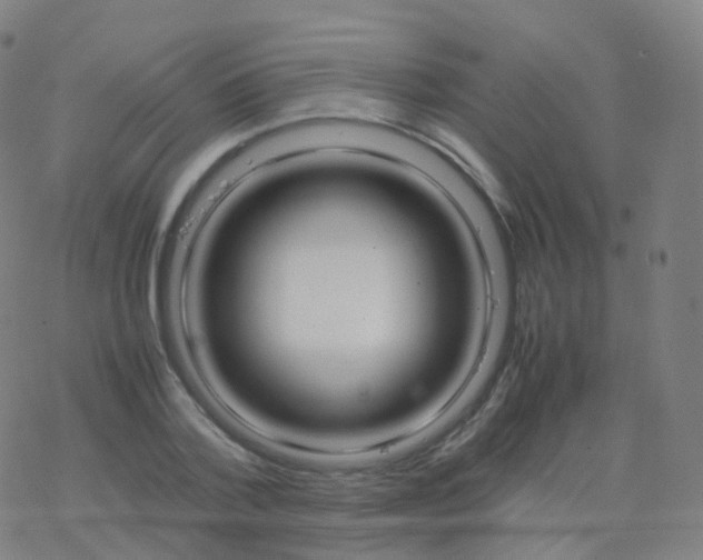 X0000077340788200611101548