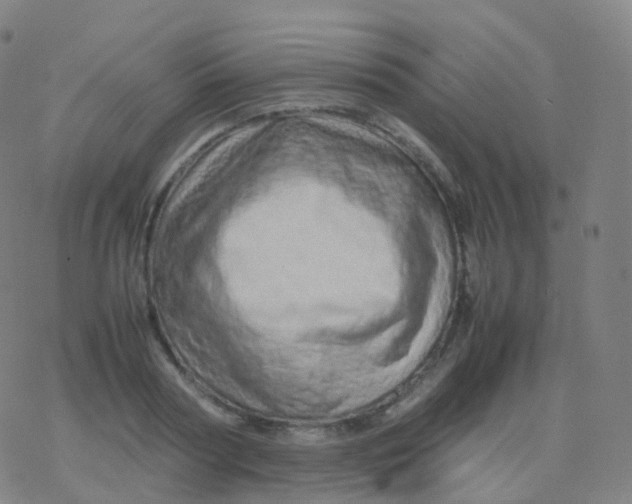 X0000077340794200611101547