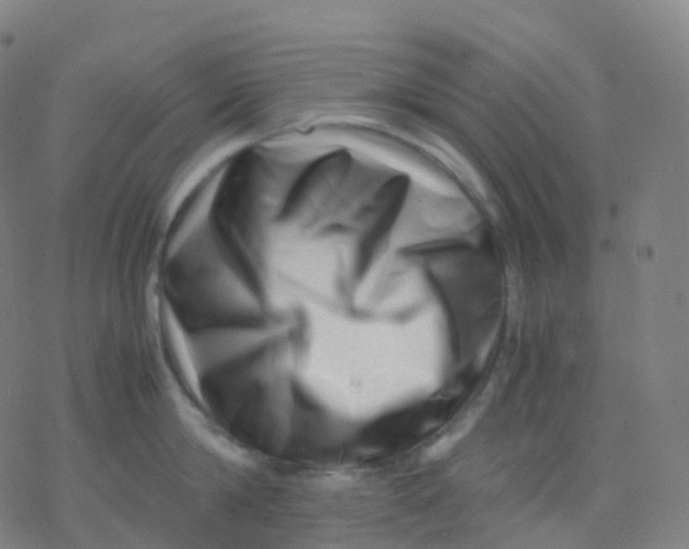 X0000077340814200611101547