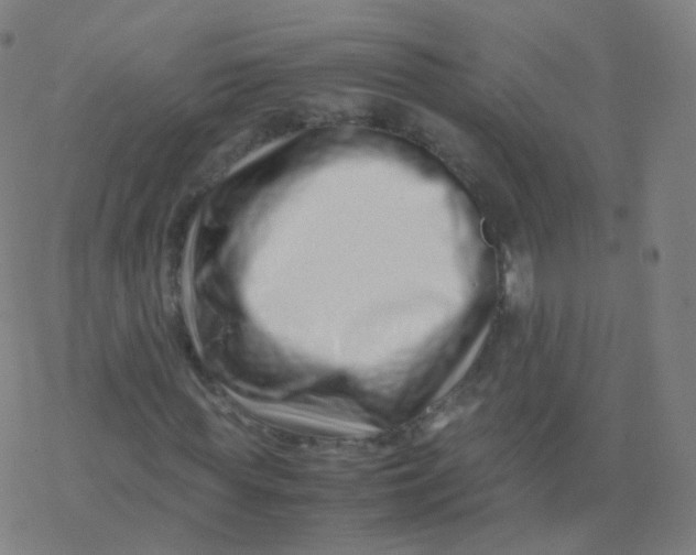 X0000077340819200611101546
