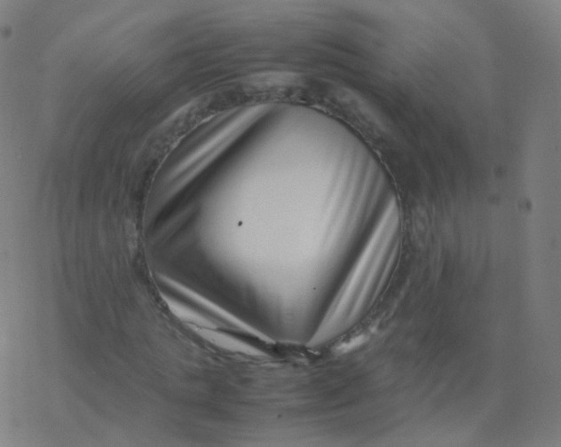 X0000077340821200611101546