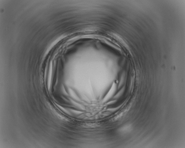 X0000077340835200611101547