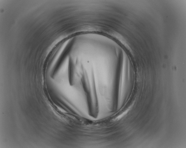 X0000077340837200611101547