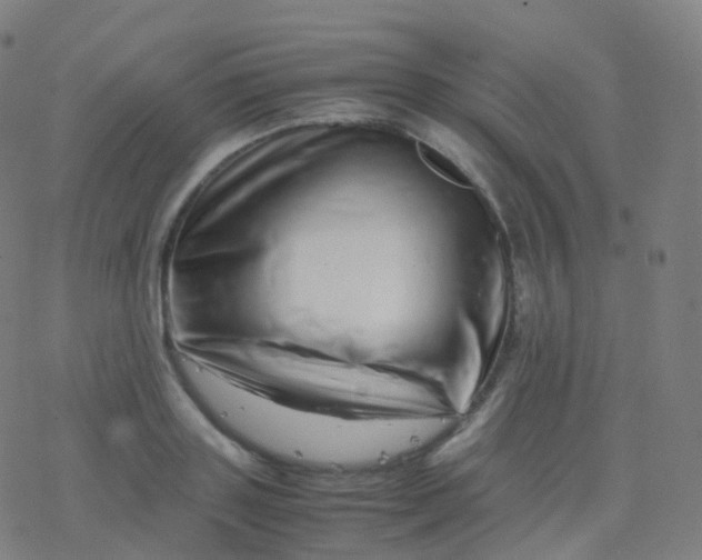X0000077340843200611101547