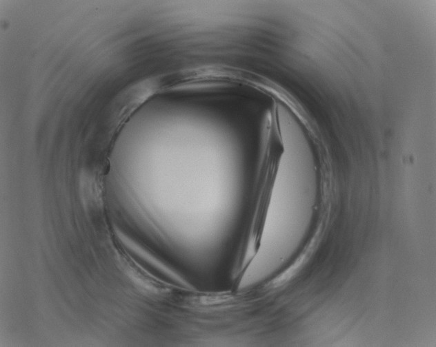 X0000077340857200611101547