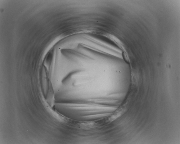 X0000077340859200611101547