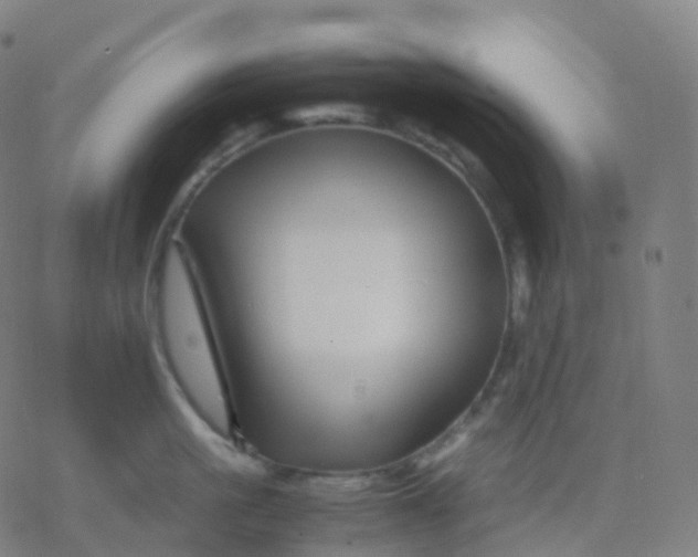 X0000077340861200611101547