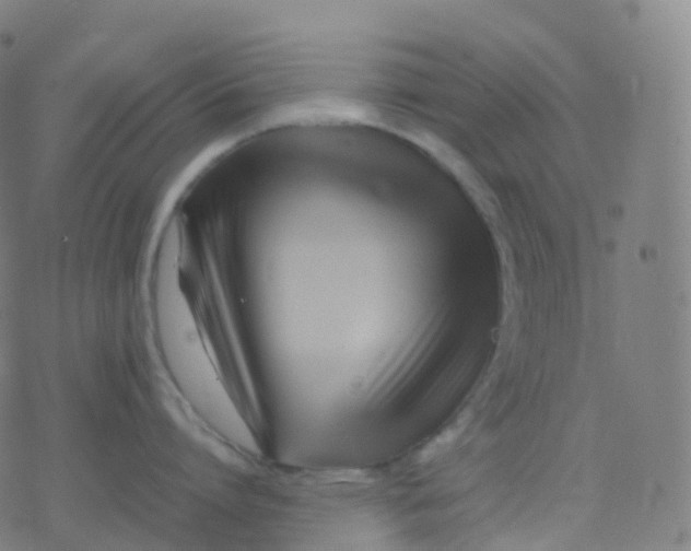 X0000077340864200611101547