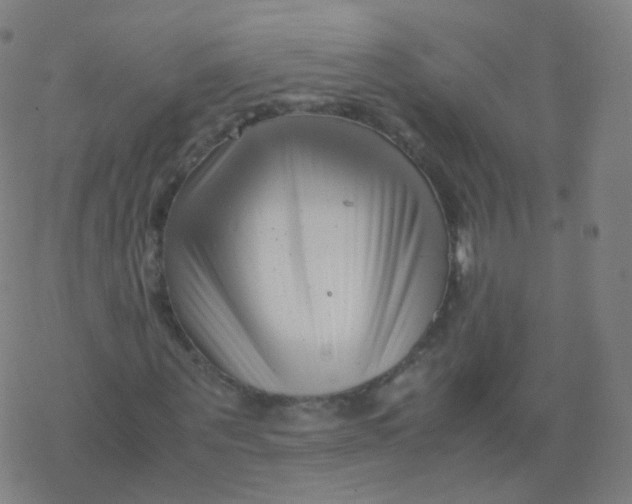 X0000077340867200611101546
