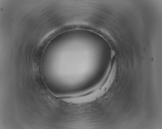 X0000077340872200611101546