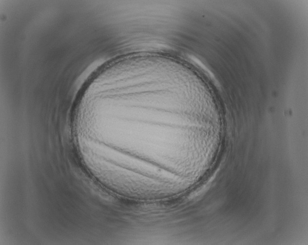 X0000077340883200611101546
