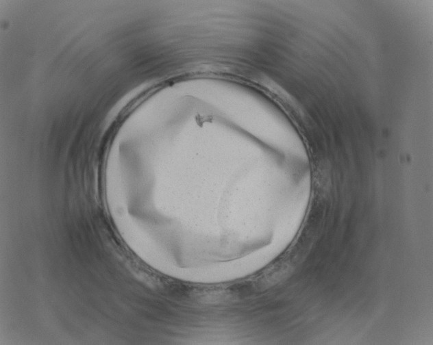 X0000077340886200611101546