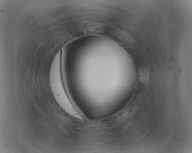 X0000077340915200611101545