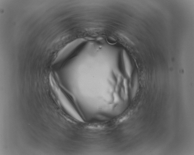 X0000077340917200611101545