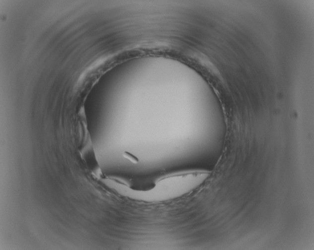 X0000077340920200611101545