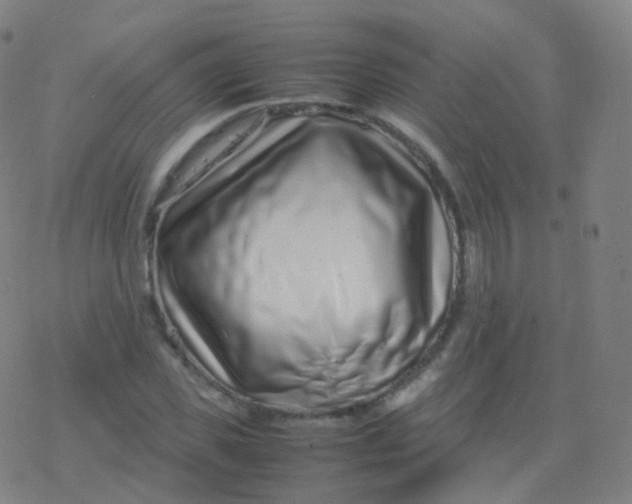 X0000077340925200611101545