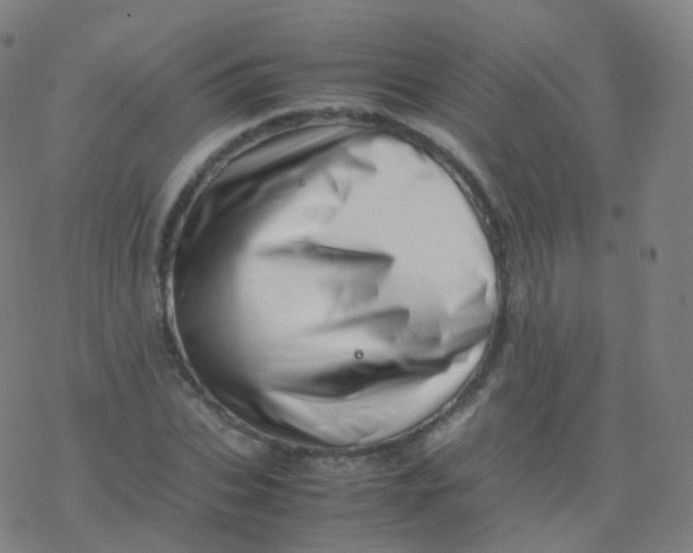 X0000077340927200611101545