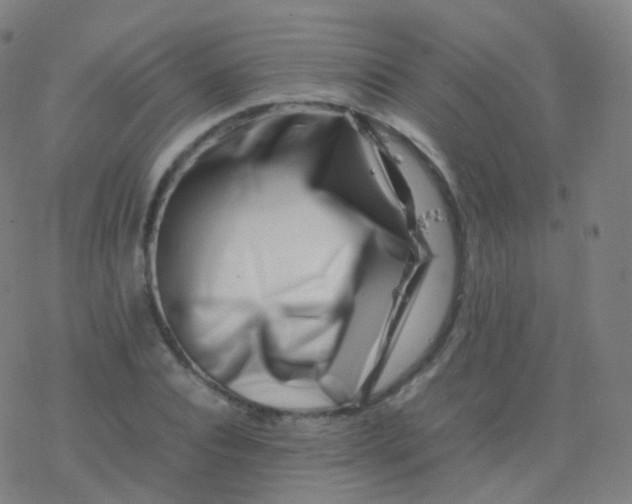 X0000077340928200611101545