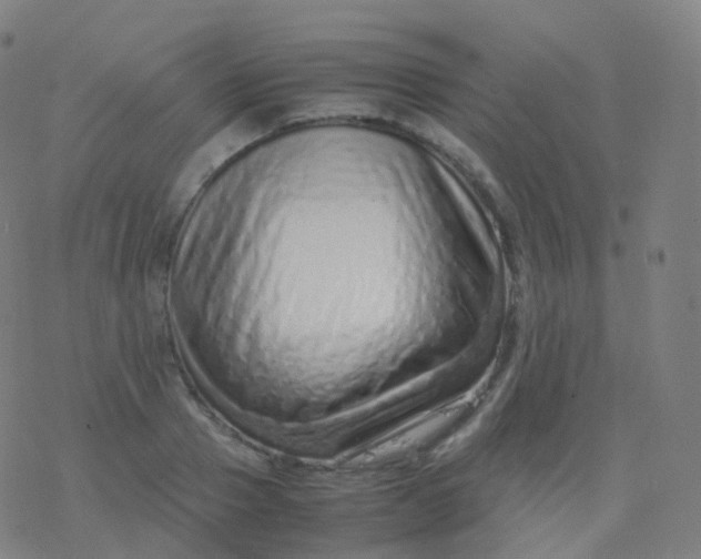 X0000077340937200611101545