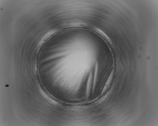 X0000077340938200611101545