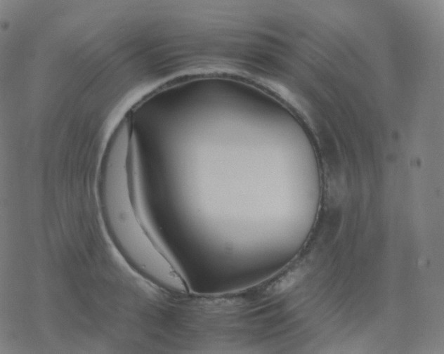 X0000077340943200611101545