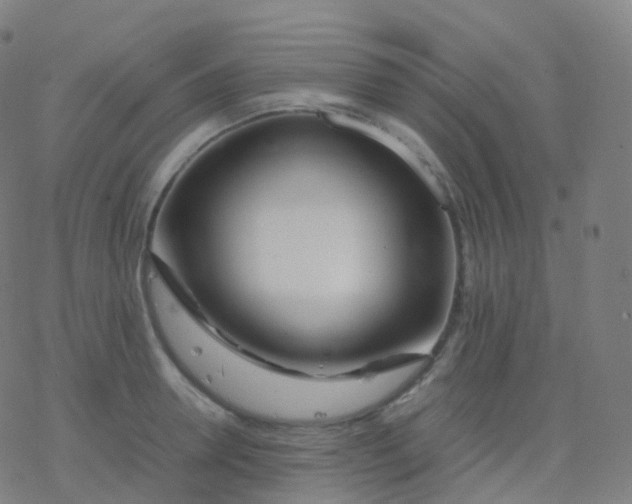 X0000077340946200611101545