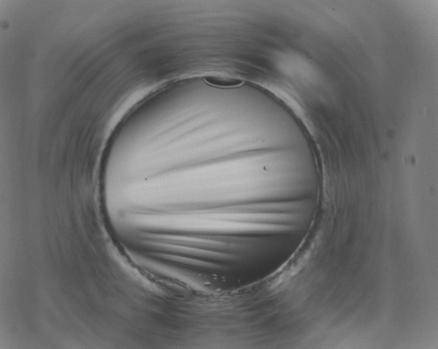 X0000077340949200611101545