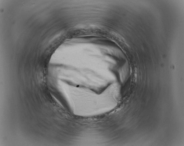 X0000077340966200611101545