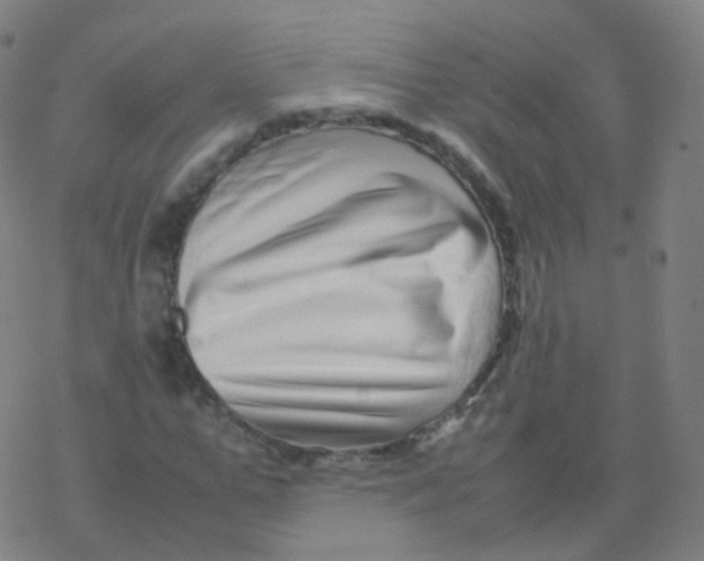 X0000077340967200611101545
