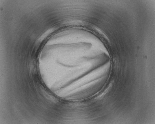 X0000077340970200611101545