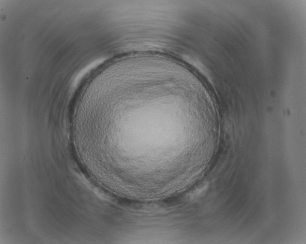 X0000077340979200611101544