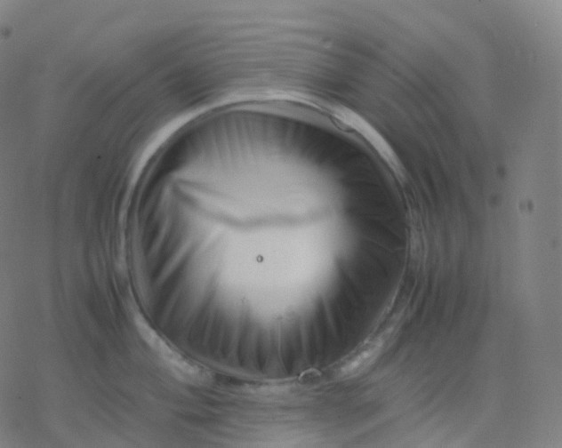 X0000077341004200611101544