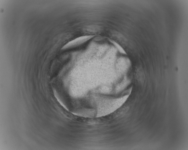 X0000077341009200611101543