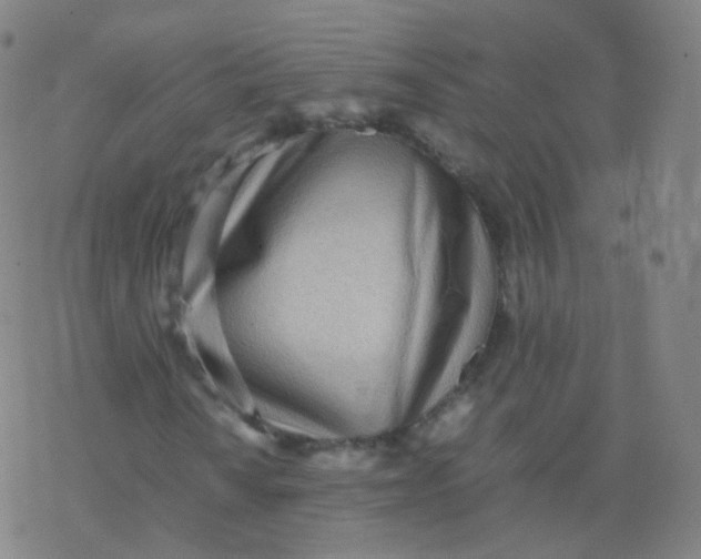 X0000077341010200611101543