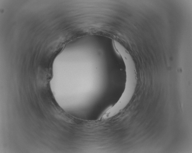 X0000077341012200611101543