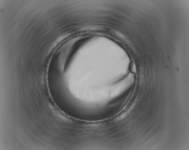 X0000077341017200611101543