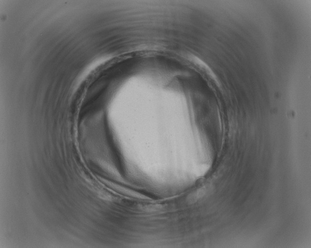 X0000077341019200611101543