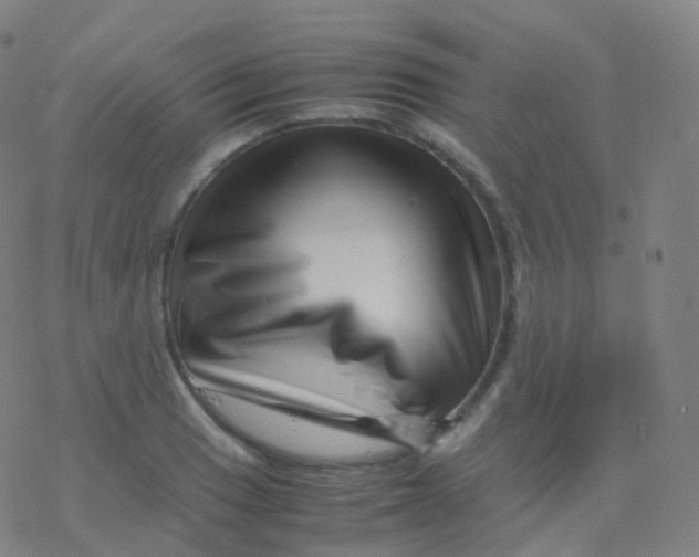 X0000077341033200611101544