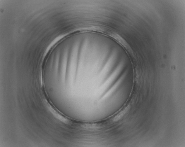 X0000077341036200611101544