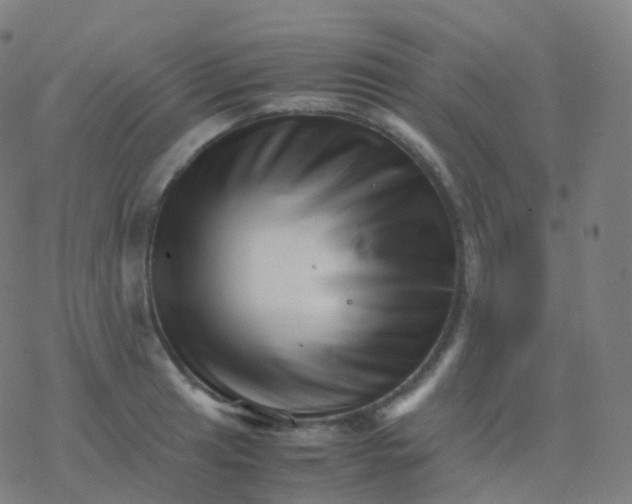 X0000077341041200611101544