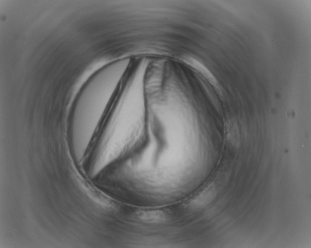 X0000077341043200611101544