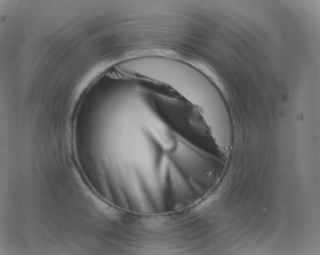 X0000077341046200611101544