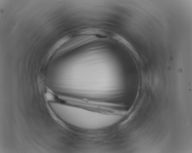 X0000077341049200611101544