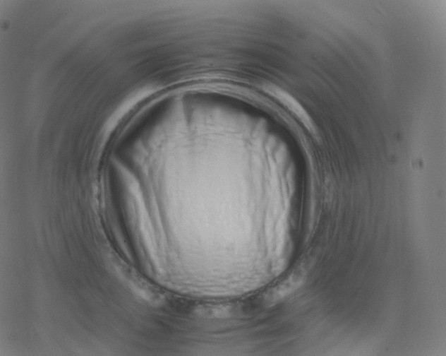 X0000077341051200611101544