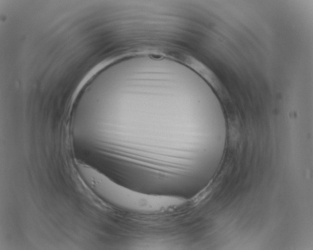 X0000077341052200611101544
