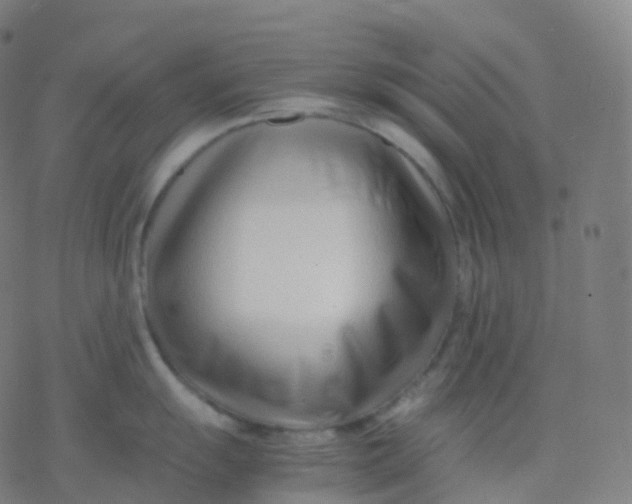 X0000077341055200611101544
