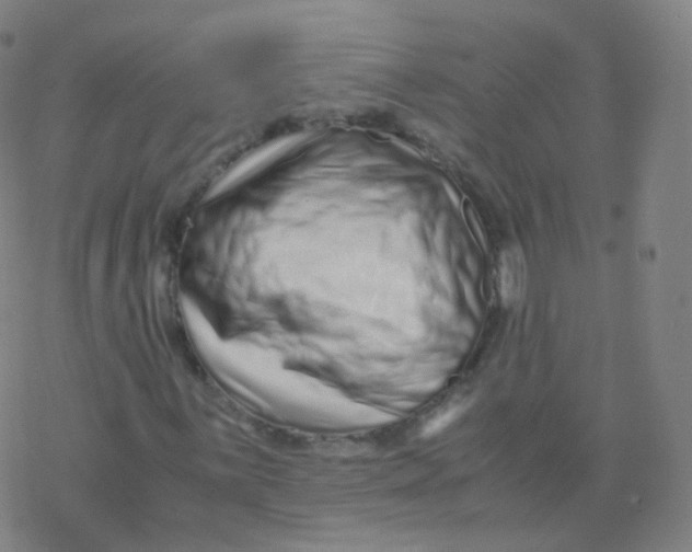X0000077341059200611101543