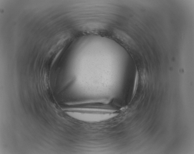 X0000077341060200611101543