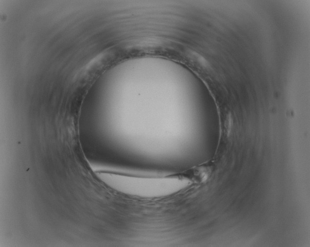 X0000077341062200611101543